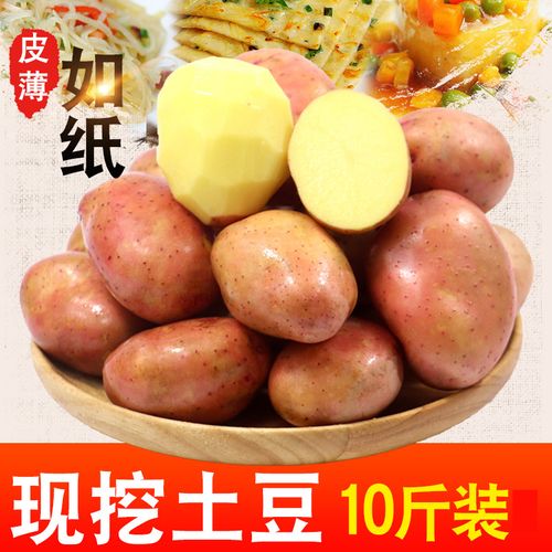 云南小土豆新鲜10斤马铃薯农产品蔬菜红皮洋芋批发迷你小黄心土豆