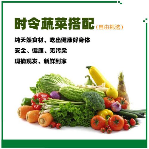 时令蔬菜新鲜组合套餐5斤 农家无公害江苏产地直销当季食用农产品